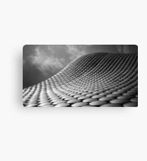 Bullring Canvas Print