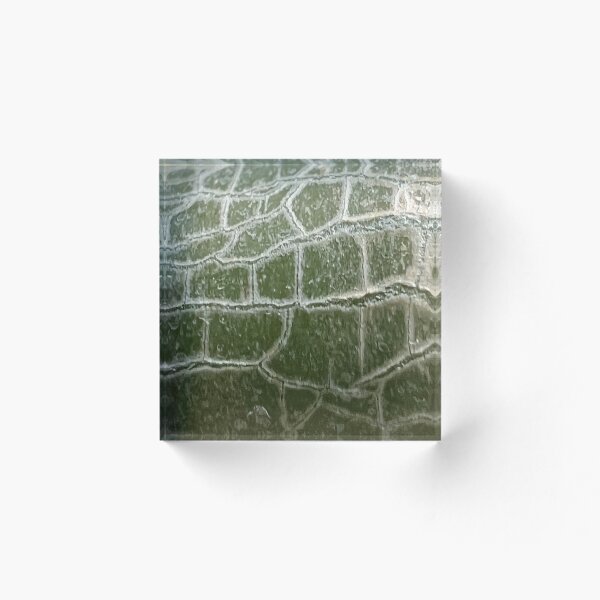 Item preview, Tallo Detalle Planta Jade designed and sold by robinreva.