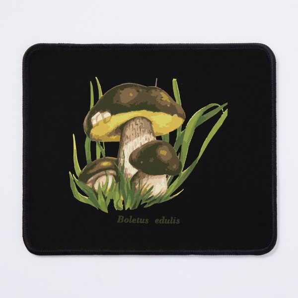 Item preview, Mushroom illustration  Boletus edulis  Classic . designed and sold by odemsysyobst.