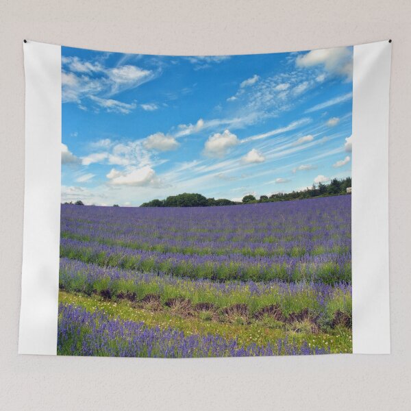 Item preview, Lavender Field Summer Flowers Cotswolds England designed and sold by AndyEvansPhotos.