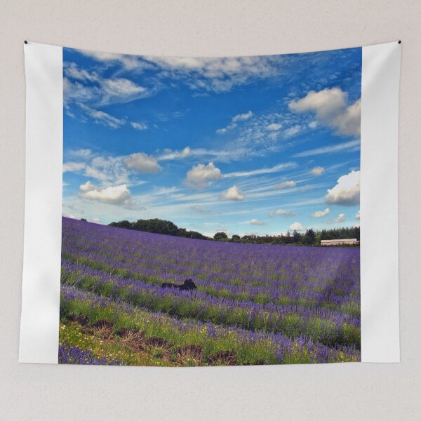 Item preview, Lavender Field Summer Flowers Cotswolds England designed and sold by AndyEvansPhotos.