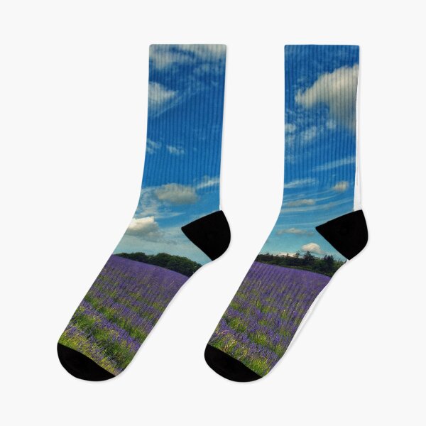 Item preview, Lavender Field Summer Flowers Cotswolds England designed and sold by AndyEvansPhotos.