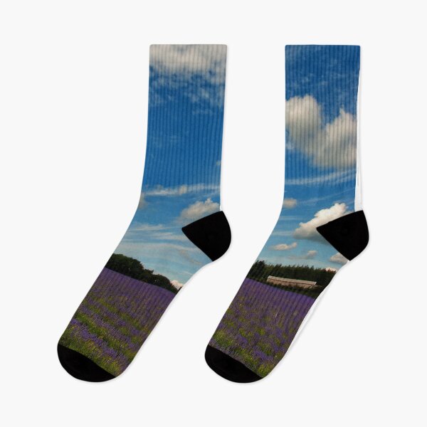Item preview, Lavender Field Summer Flowers Cotswolds England designed and sold by AndyEvansPhotos.