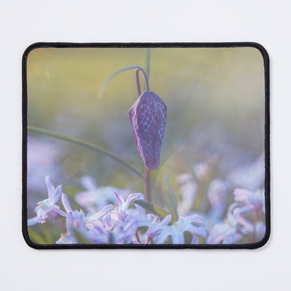 Item preview, Looking - A view - F2.8 Broken Glass designed and sold by Carl Gaynor.