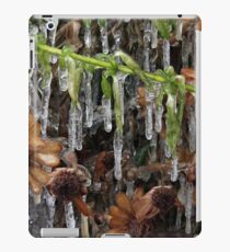 Frozen iPad Case/Skin