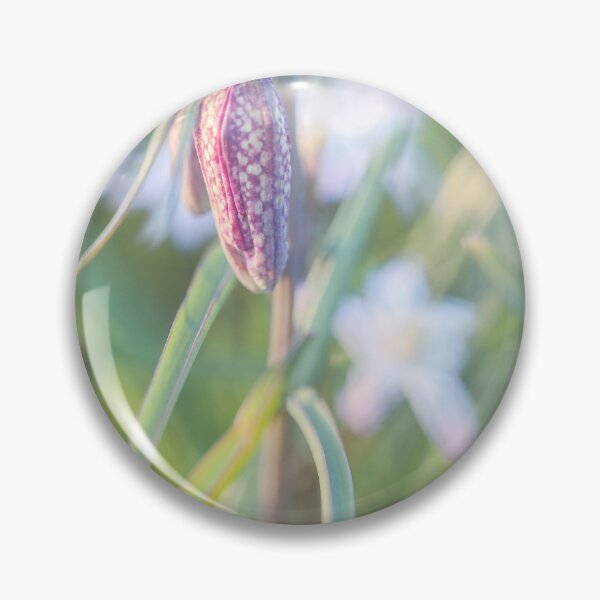 Item preview, Looking - A View F2.8 - Broken Glass  designed and sold by Carl Gaynor.