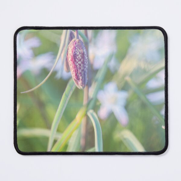 Item preview, Looking - A View F2.8 - Broken Glass designed and sold by Carl Gaynor.