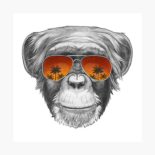 Monkey Photographic Print
