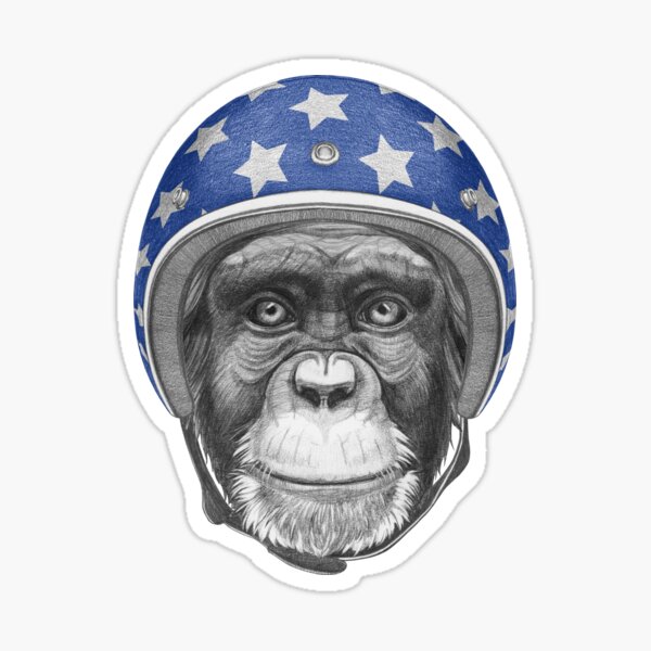 Monkey Sticker