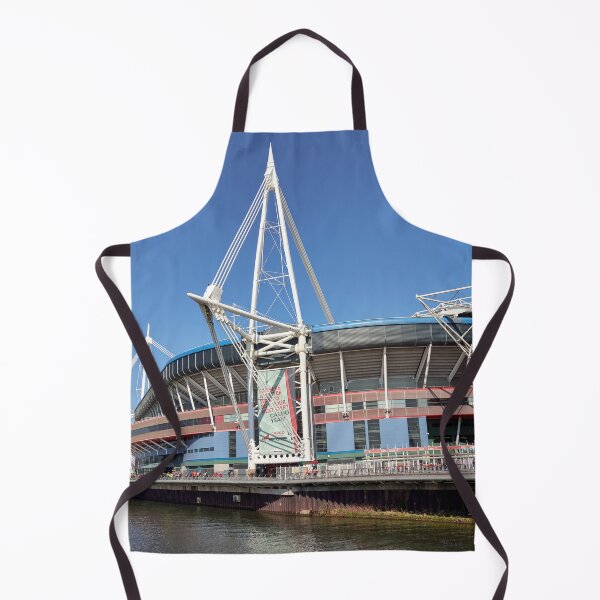 Item preview, Principality Stadium, Cardiff, Wales designed and sold by VnGphoto.