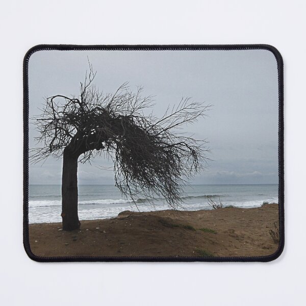 Item preview, Windswept. designed and sold by Paul Pasco.