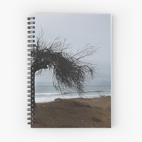 Item preview, Windswept. designed and sold by Paul Pasco.