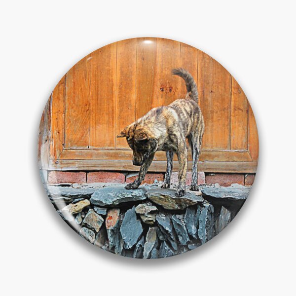 Item preview, Street Dog on a Dry Stone Wall designed and sold by Bryony James.