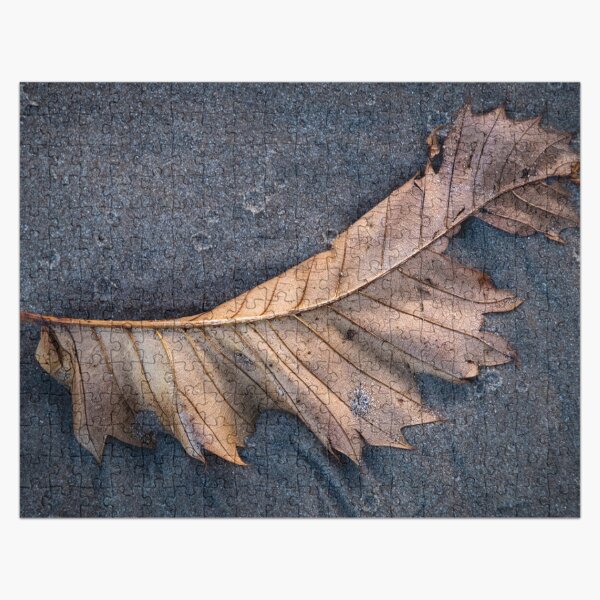 Leaf Upon The Sand, New Brighton Jigsaw Puzzle