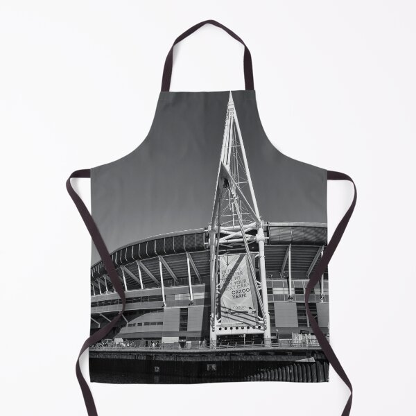 Item preview, Principality Stadium, Cardiff, on match day designed and sold by MaclarenPhoto.