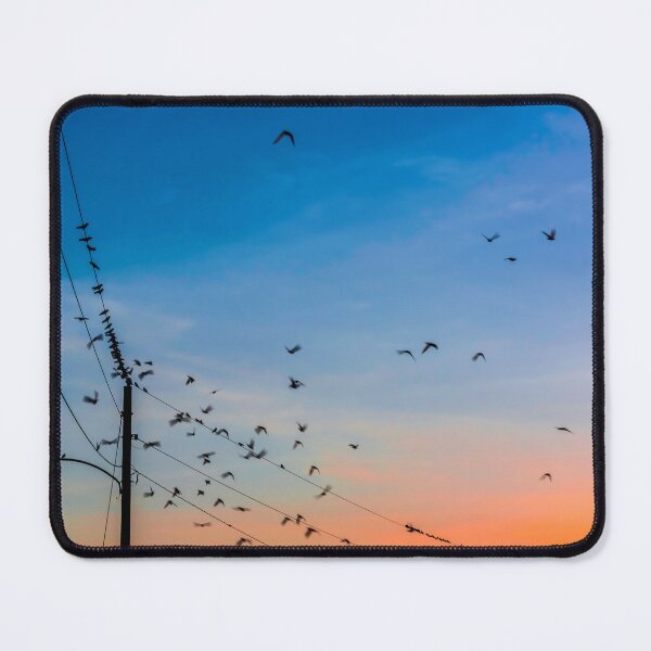 Item preview, Pájaros en un alambre designed and sold by FollowPhoto.