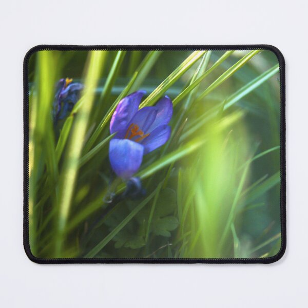 Item preview, Looking - A View  F2.8 - Broken Glass  designed and sold by Carl Gaynor.