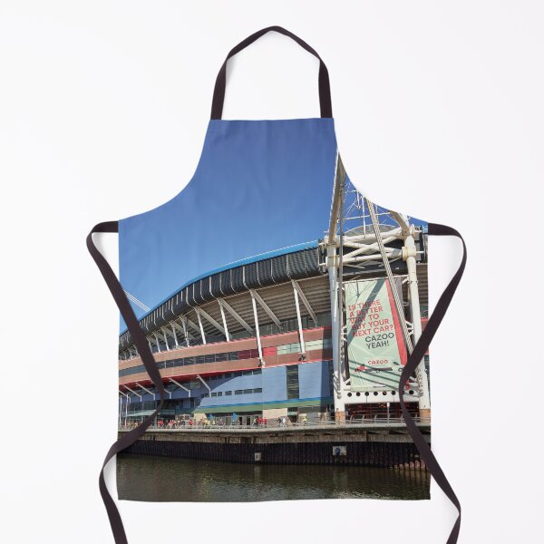 Item preview, Principality Stadium, Cardiff, Wales designed and sold by VnGphoto.