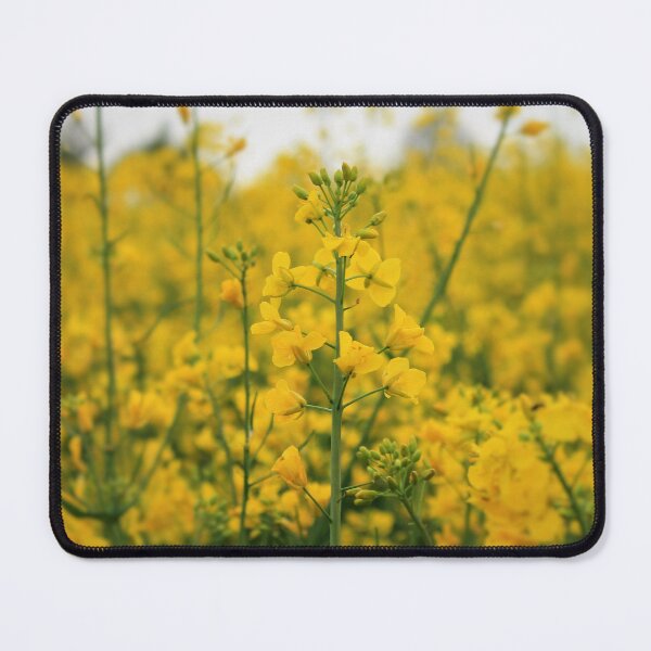 Item preview, Flower Fields of Yellow Sunshine designed and sold by Bryony James.