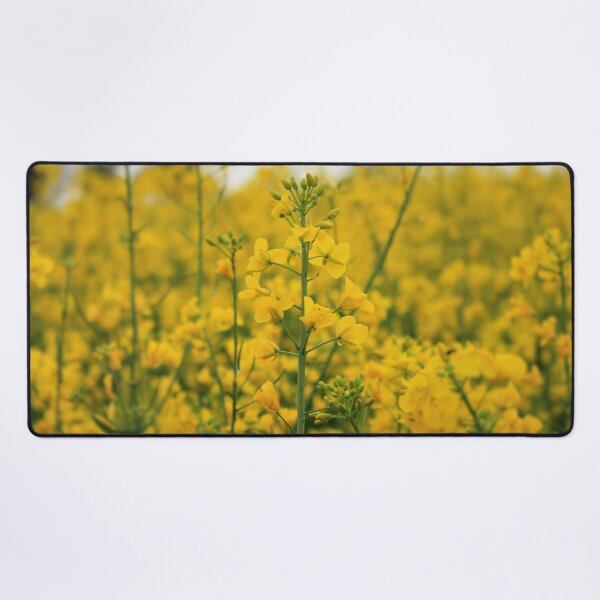Item preview, Flower Fields of Yellow Sunshine designed and sold by Bryony James.
