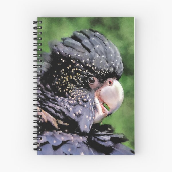 Item preview, Red Tailed Black Cockatoo, Cute Red Tailed Black Cockatoo, Best gift idea for Red Tailed Black Cockatoo and Australian Large Bird Lovers designed and sold by Paintcorner.