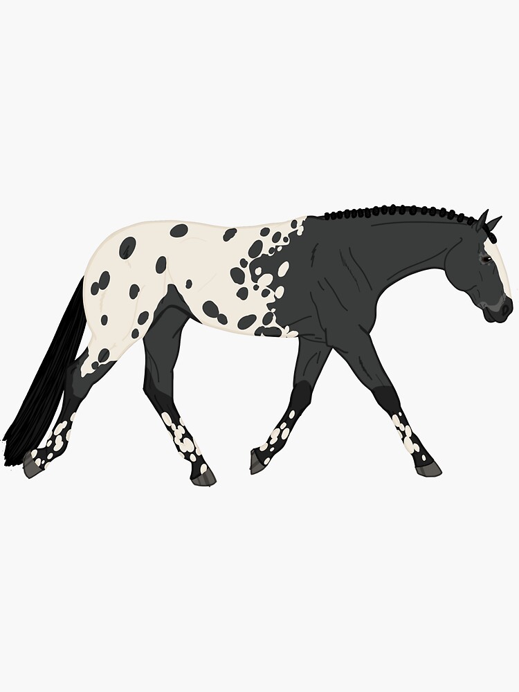 "Grey Blanket Appaloosa" Sticker by TyeDyeDragon Redbubble