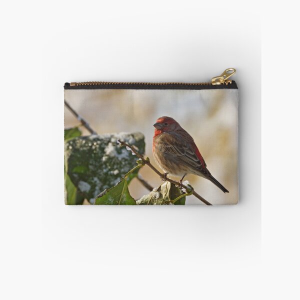 Item preview, Finch Perching designed and sold by Sandy Keeton.