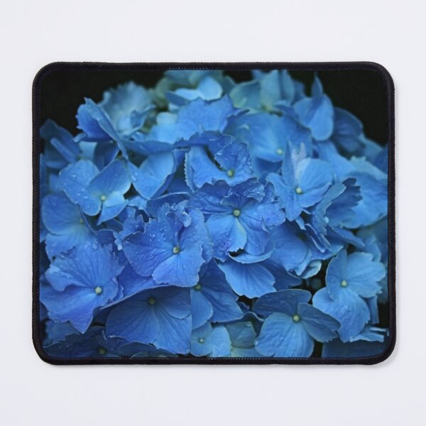 Item preview, Beautiful Blue Hydrangea designed and sold by MAINE IMAGESDEZIGNS.