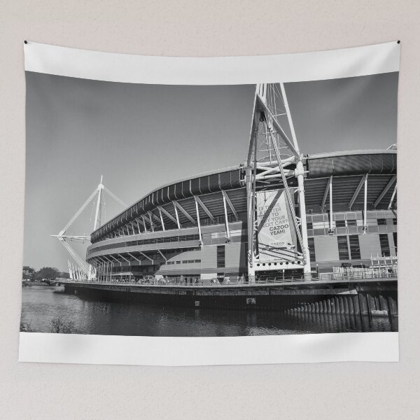 Item preview, Match Day, Principality Stadium, Cardiff designed and sold by MaclarenPhoto.