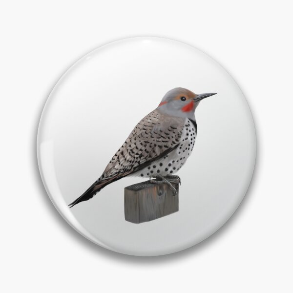 Item preview, Northern Flicker designed and sold by Wondersofwhimsy.