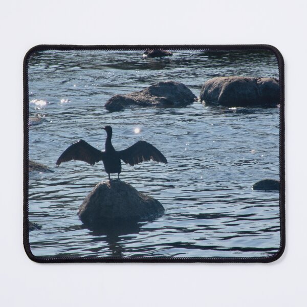 Item preview, Cormorant in the Rideau RIver, Ottawa designed and sold by Shulie1.