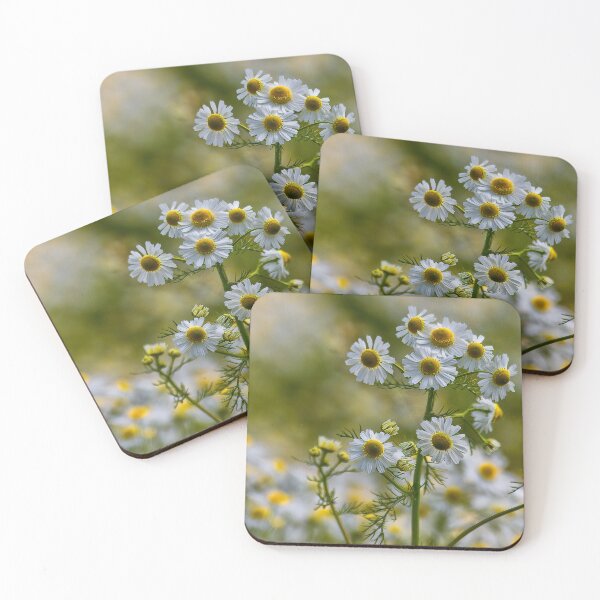 Item preview, English Wild Flowers - Chamomile designed and sold by Violaman.