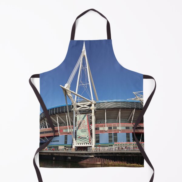 Item preview, Match Day, Principality Stadium, Cardiff, Wales designed and sold by VnGphoto.