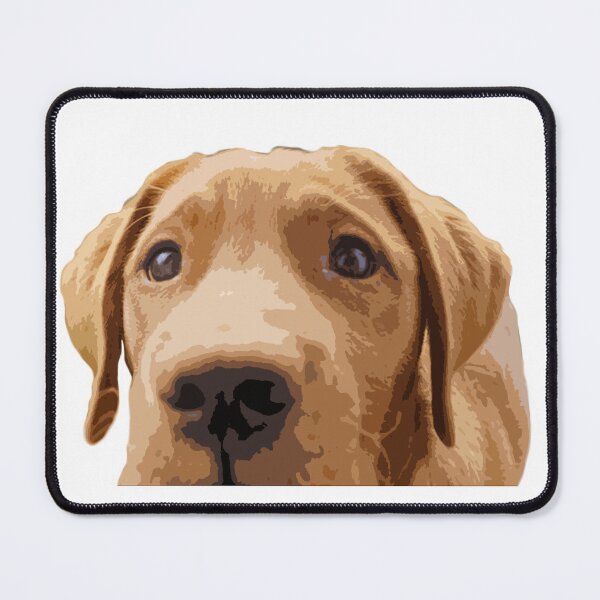 Item preview, A Cute and Curious Lab designed and sold by Cjeanes.