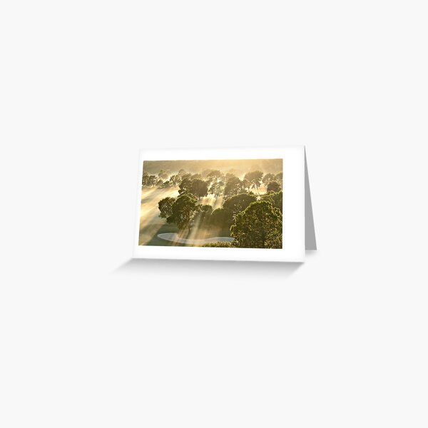 MORNING GLORY Greeting Card