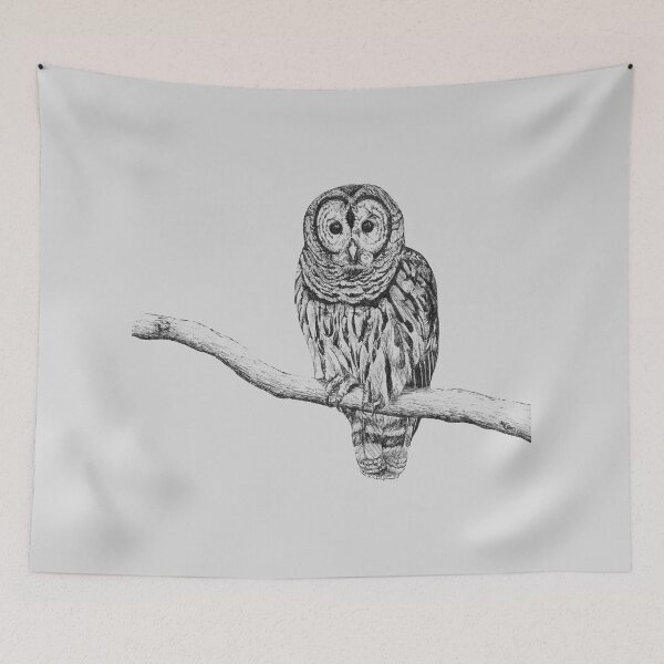 Item preview, Barred Owl designed and sold by frespirit.