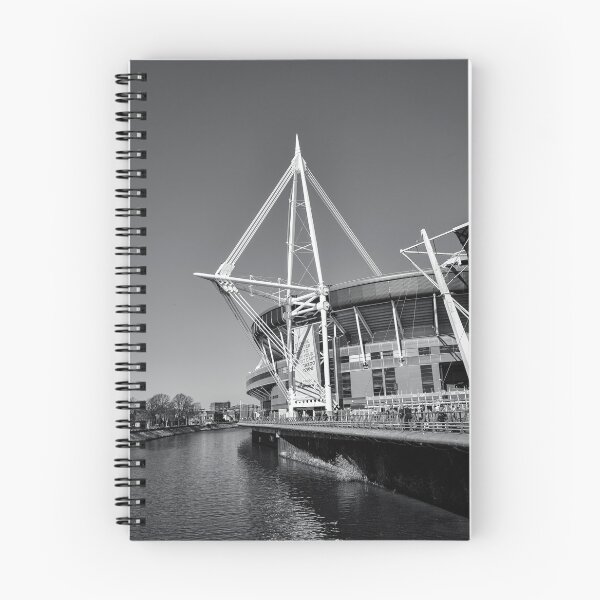 Item preview, Match Day, Principality Stadium, Cardiff, Wales designed and sold by MaclarenPhoto.