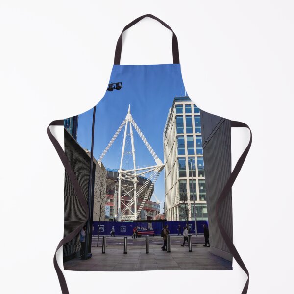 Item preview, Match Day, Principality Stadium, Cardiff, Wales designed and sold by VnGphoto.