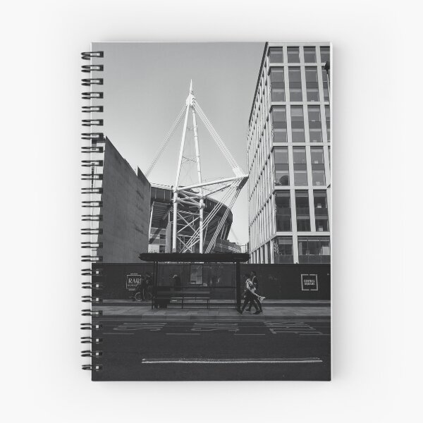 Item preview, Match Day, Principality Stadium, Cardiff, Wales designed and sold by MaclarenPhoto.