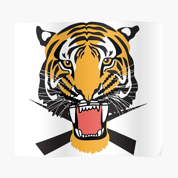 MyRandomLifeTees Tiger Baseball Shirt, Tigers Baseball Shirt, Tiger School Spirit Shirt, Tiger Mom, Go Tigers, Tiger Pride, Tiger Mascot, Tiger Baseball Tee