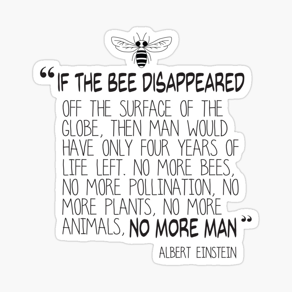Albert Einstein Quote About Bees If The Bee Disappeared - Albert Einstein Quote" Spiral Notebook By  Jitterfly | Redbubble