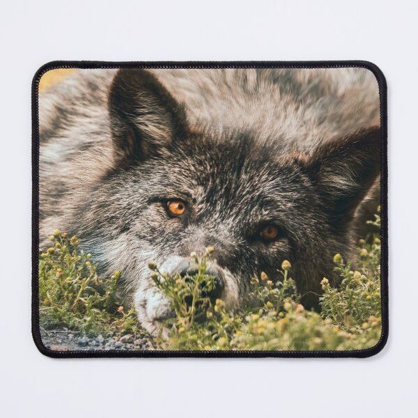 Item preview, The Stare Down designed and sold by DemiDog-Designs.
