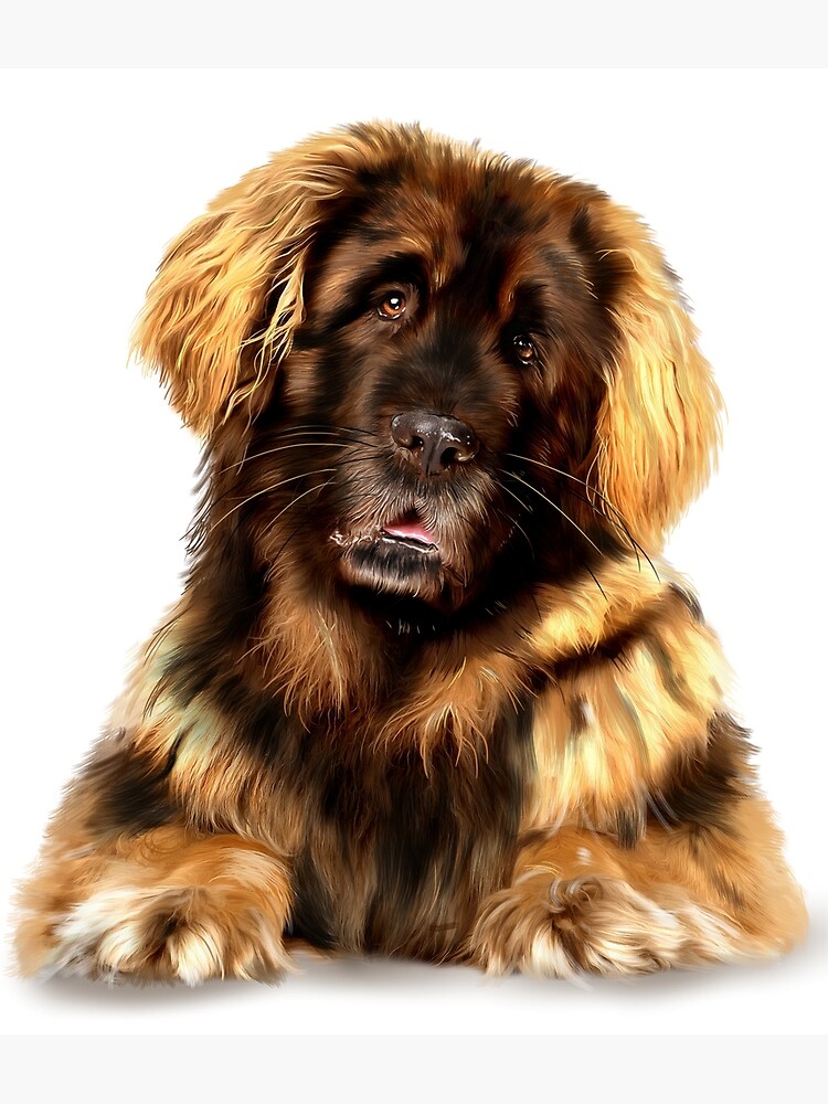 Leonberger Dog Gift for Lion Dog Lovers