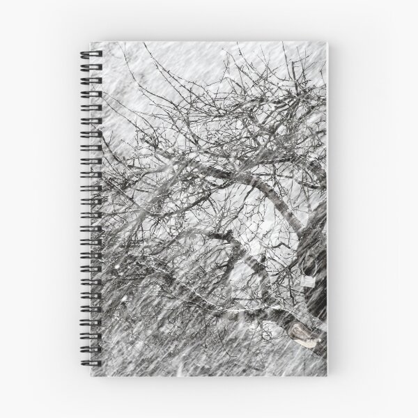 Item preview, 9.3.2017: Apple Tree and Snowfall III designed and sold by Petri Volanen.