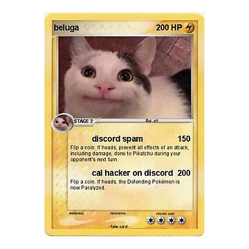 Pokemon Beluga cat 4