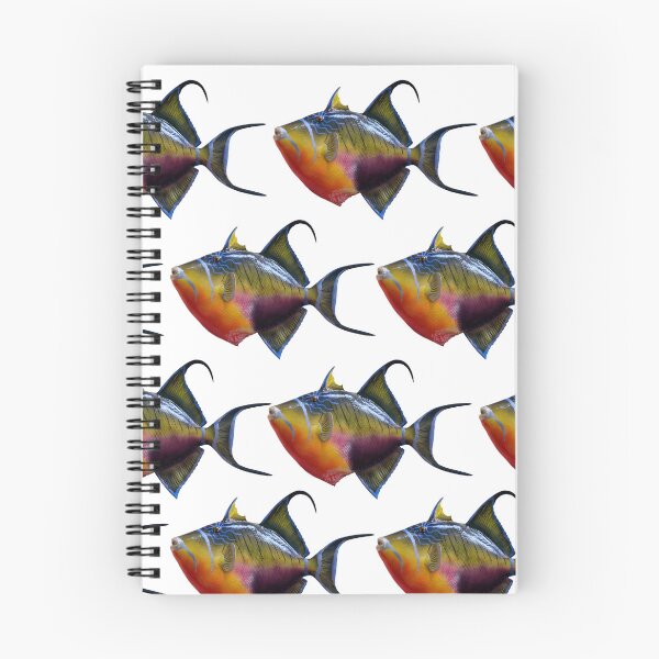 Item preview, Colourful fish designed and sold by Metaverse8.