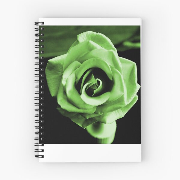 Item preview, CELEBRATE ST. PATRICK'S DAY designed and sold by JAYMILO.