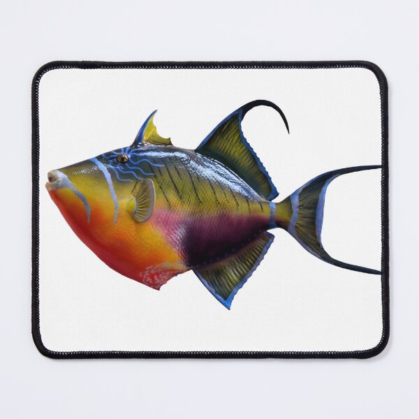 Item preview, Stunning Fish Sticker designed and sold by Metaverse8.