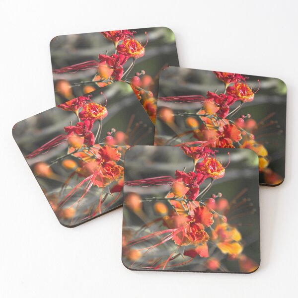 Item preview, flower and light. designed and sold by Nino rocha fotografia.
