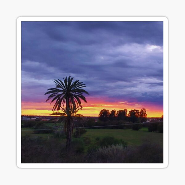 Beautiful Sunset Sky and Palm Tree, Spring Time MOROCCO Sticker